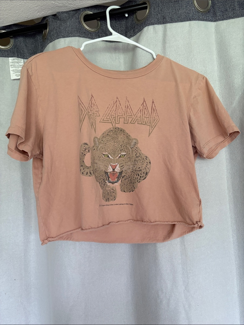 Def Leppard Dusty Rose Cropped Graphic Tee